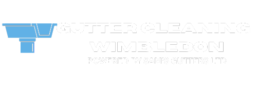 Gutter Cleaning Wimbledon
