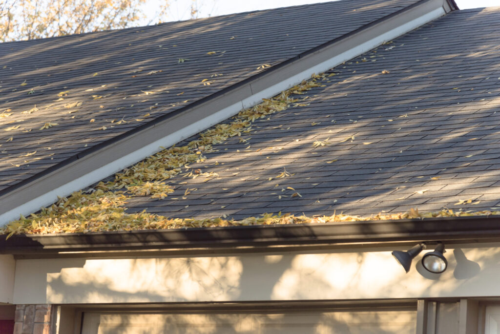 roof that needs cleaned